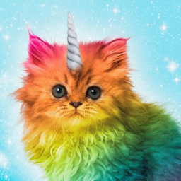 RainbowKitten1
